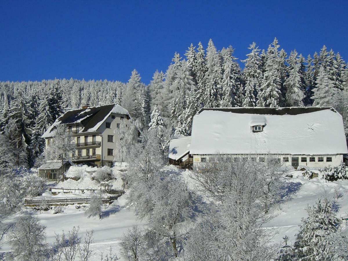 Urlaub Am Bauernhof Grabenhofer Βίλα Sankt Jakob im Walde Εξωτερικό φωτογραφία