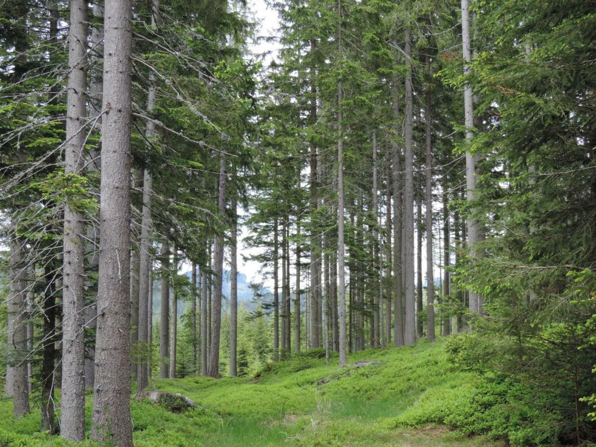 Urlaub Am Bauernhof Grabenhofer Βίλα Sankt Jakob im Walde Εξωτερικό φωτογραφία