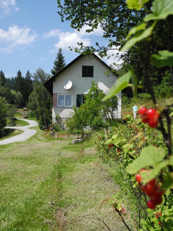Urlaub Am Bauernhof Grabenhofer Βίλα Sankt Jakob im Walde Εξωτερικό φωτογραφία