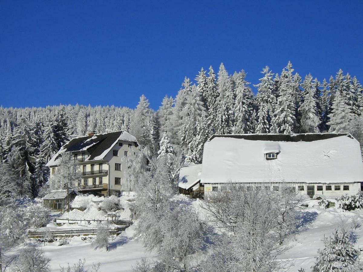 Urlaub Am Bauernhof Grabenhofer Βίλα Sankt Jakob im Walde Εξωτερικό φωτογραφία